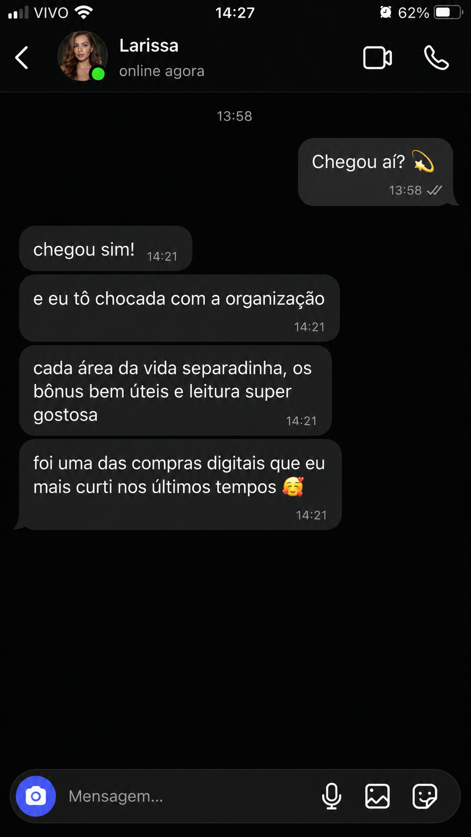 Depoimento da Larissa elogiando a organização do material